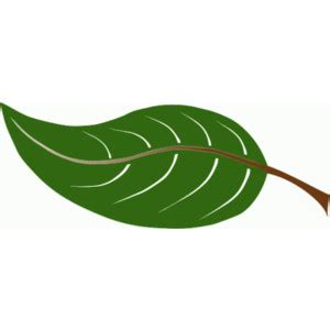 Animated Leaf - ClipArt Best