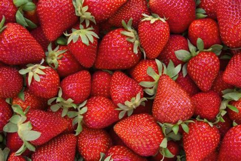 Fragola proprietà benefici e coltivazione del frutto più colorato