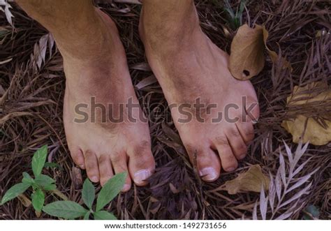 Hobbit Feet Photos and Images | Shutterstock