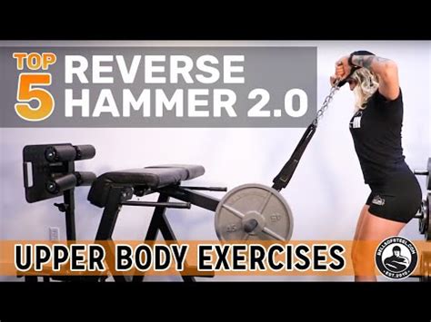 Top 5 Reverse Hammer 2 0 Upper Body Exercises Bells Of Steel YouTube