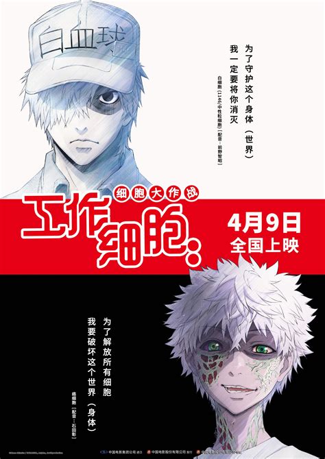 电影版《工作细胞》发布全新海报 终极对决一触即发 工作细胞 细胞 电影版 新浪新闻