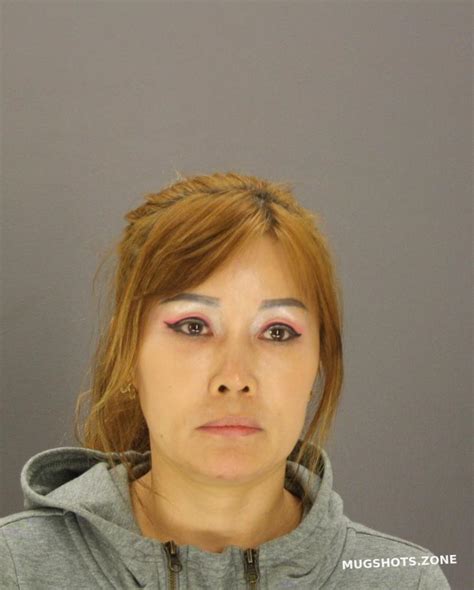 YUAN JINYU 10 13 2023 Dallas County Mugshots Zone