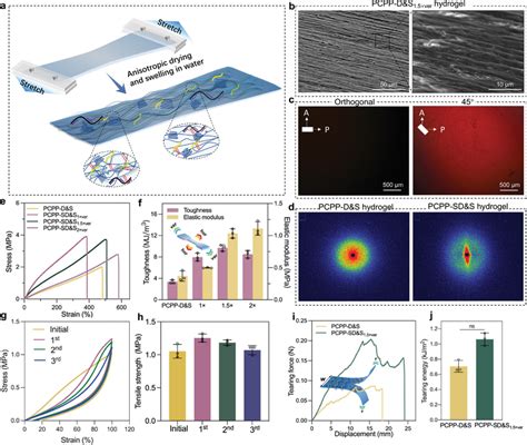 Construction And Properties Of Anisotropic PCPPSD S Hydrogel With