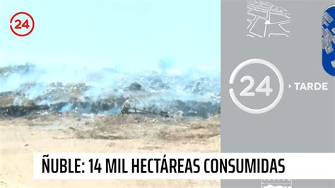 Cerca De 14 Mil Hectáreas Han Sido Arrasadas Por El Fuego En Ñuble 24