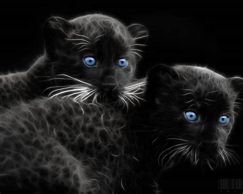 Black Panther Cub Wallpapers - Top Free Black Panther Cub Backgrounds ...