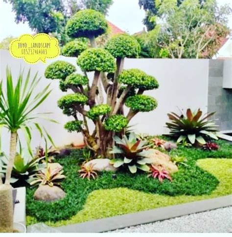 Joyo Landscape Budget Garden Front Yard Landscaping Landscape Ideas