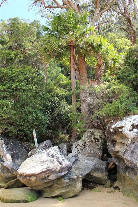 Stunning Walk To West Head Lookout In Ku Ring Gai Chase National Park