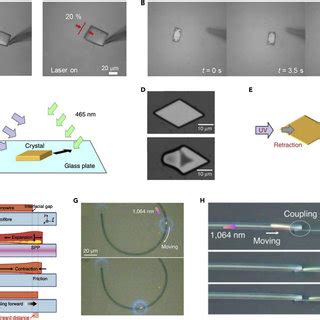 Opto Thermomechanical Printing Of Nanoparticles A Schematic And Force