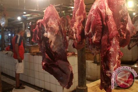 Kppu Nyatakan Sulit Tekan Harga Daging Sapi Antara News