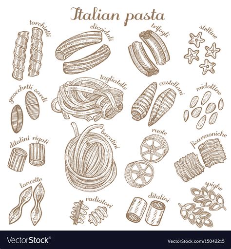 Set of different pasta shapes Royalty Free Vector Image