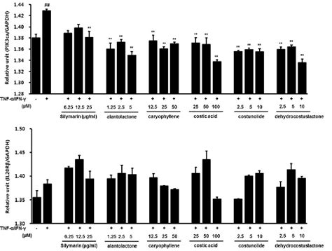 Figure 5 From The Genome Wide Expression Profile Of Saussurea Lappa