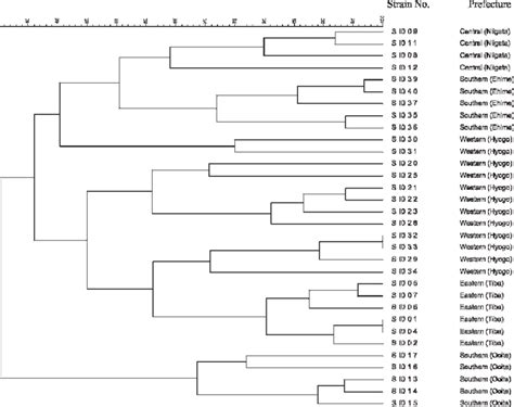 Dendrogram Of Pfge Patterns In Salmonella Infantis Isolates In Japan By