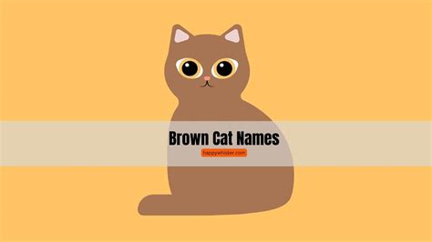 270+ Brown Cat Names So Good You'll Want To Choose Two