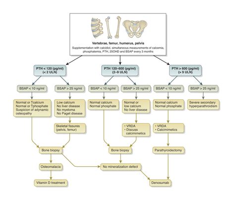 Chronic Kidney DiseaseMineral And Bone Disorder Personal Perspective