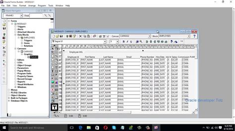 Display Table S Data In Tabular Form In Oracle Form Builder Part 1