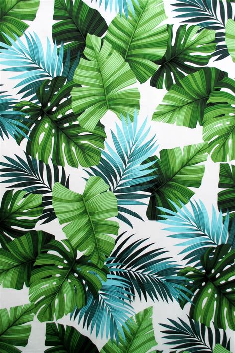 Tropical Leaves Wallpaper Hd