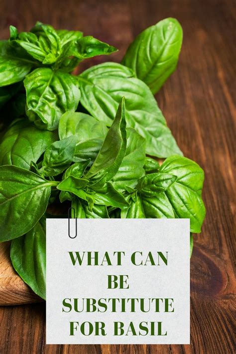 Find A Basil Substitute: 10+ Great Cooking Options