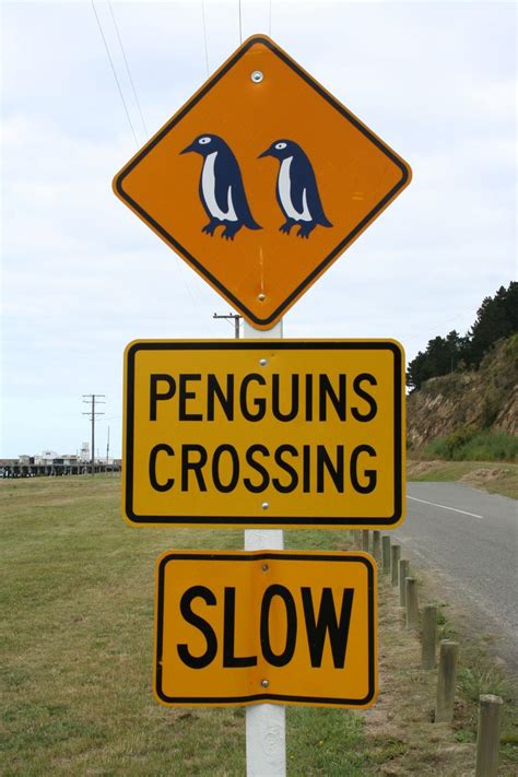 178 best Funny Road Signs images on Pinterest | Funny stuff, Ha ha and ...