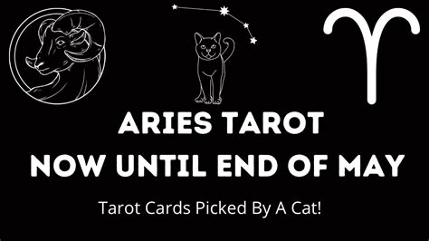 Aries Tarot Weekly ♈️now Until End Of May Tarot Cards Picked By A Cat