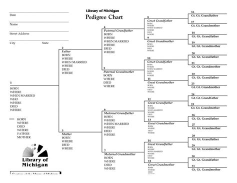 printable pedigree chart template