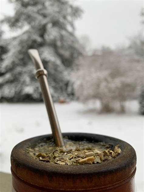 Mate Tea Winter - Free photo on Pixabay - Pixabay