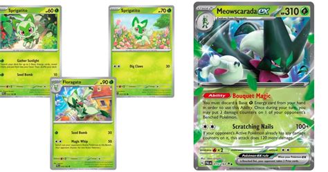 The Cards Of Pok Mon Tcg Paldea Evolved Part Sprigatito Line