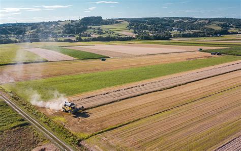 Nenavadna študentska dela Od molže krav do fotografiranja stopal