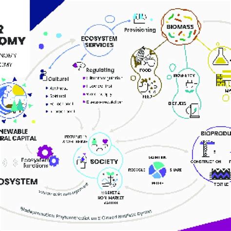 Illustration Of Circular Bioeconomy Flows Based On Hetemaki Et Al