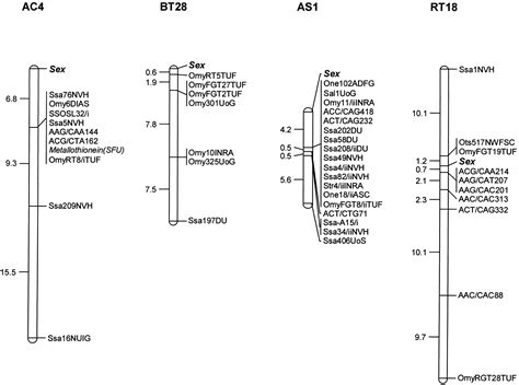 Comparative Genome Analysis Of The Primary Sex Determining Locus In