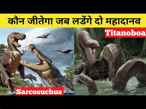 Sarcosuchus Vs Titanoboa