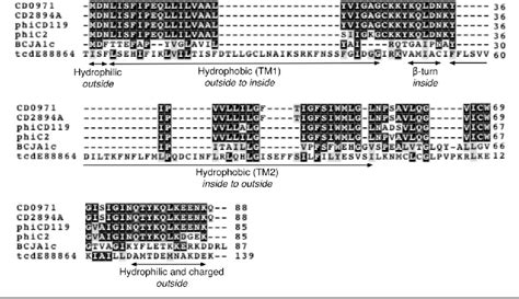 Figure 3 From The Complete Genome Sequence Of Clostridium Difficile