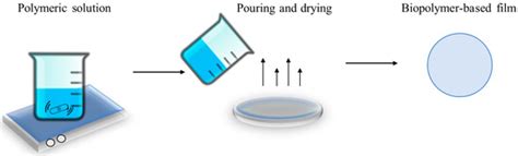 Polymers Free Full Text Selected Biopolymers Processing And Their