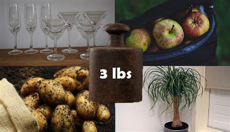 10 Household Items That Weigh About 3 Pounds