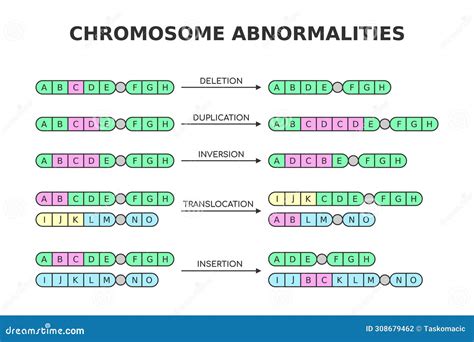 Chromosomal Abnormalities Deletion Duplication Inversion