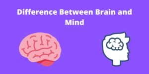 Difference Between Brain and Mind in Tabular Form