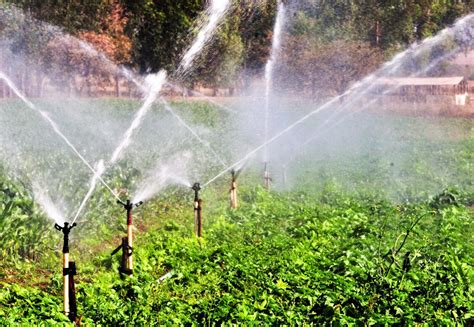 Cr Dito Para A Agricultura Irrigada Estimula O Desenvolvimento