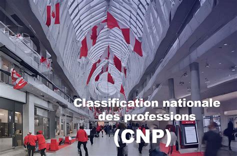 Comprendre La Classification Nationale Des Professions Cnp Hot Sex