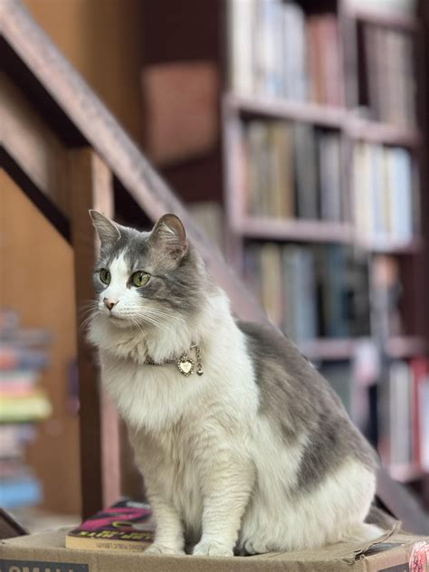 Faulkner House Books - The Faulkner House Books book mart is now open