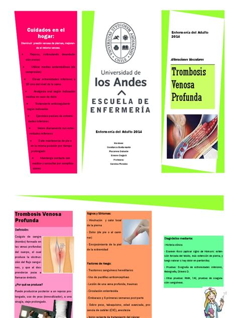 PDF Trombosis Venosa Profunda Triptico Pdf DOKUMEN TIPS