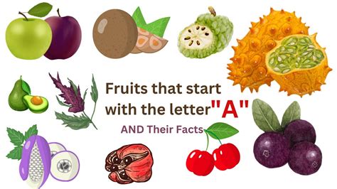 Fruits That Start With The Letter A With Some Interesting Facts In