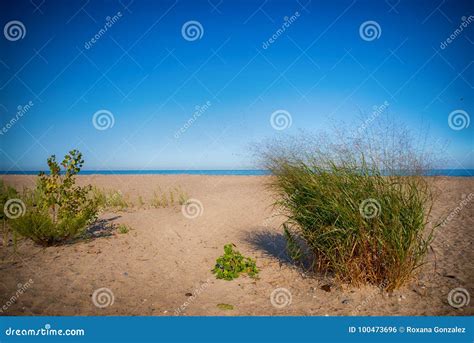 View of Sand Dunes at Rondeau Provincial Park Beach in the Summer, with ...