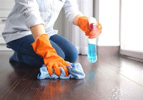 The Difference Between A Housekeeper And A Maid Maid To Maintain