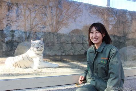 2022年は寅年！ ホワイトタイガーはどうして白いの？動物園で聞いてみました レスポンス（responsejp）