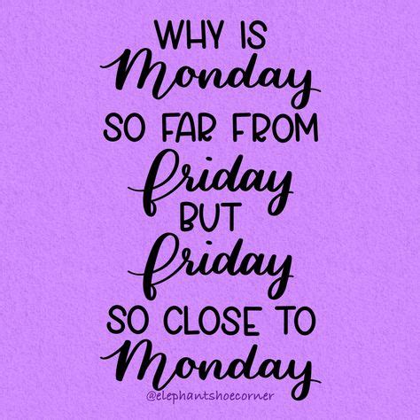 monday  meme