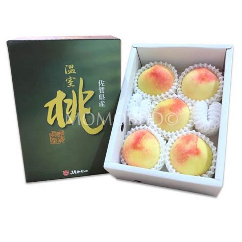 Japanese Saga Greenhouse Hakuhou White Peach Gift Box Momobud