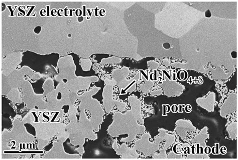 Sem Image Of A Mt Sofc Cathodeelectrolyte Interface Showing