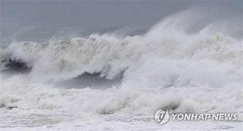 제6호 태풍 카눈 대비울산시 긴급 점검회의 네이트 뉴스