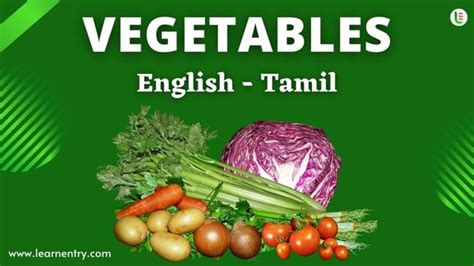 Vegetables Names In Tamil And English Common Tamil Vocabulary