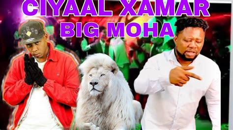 Alfanaan Big Moha Hestii Ciyaal Xamar Youtube