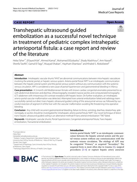 PDF Transhepatic Ultrasound Guided Embolization As A Successful Novel